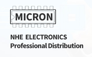 NHE  ELECTRONICS, Professional Distribution